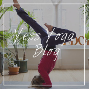 yess yoga blog