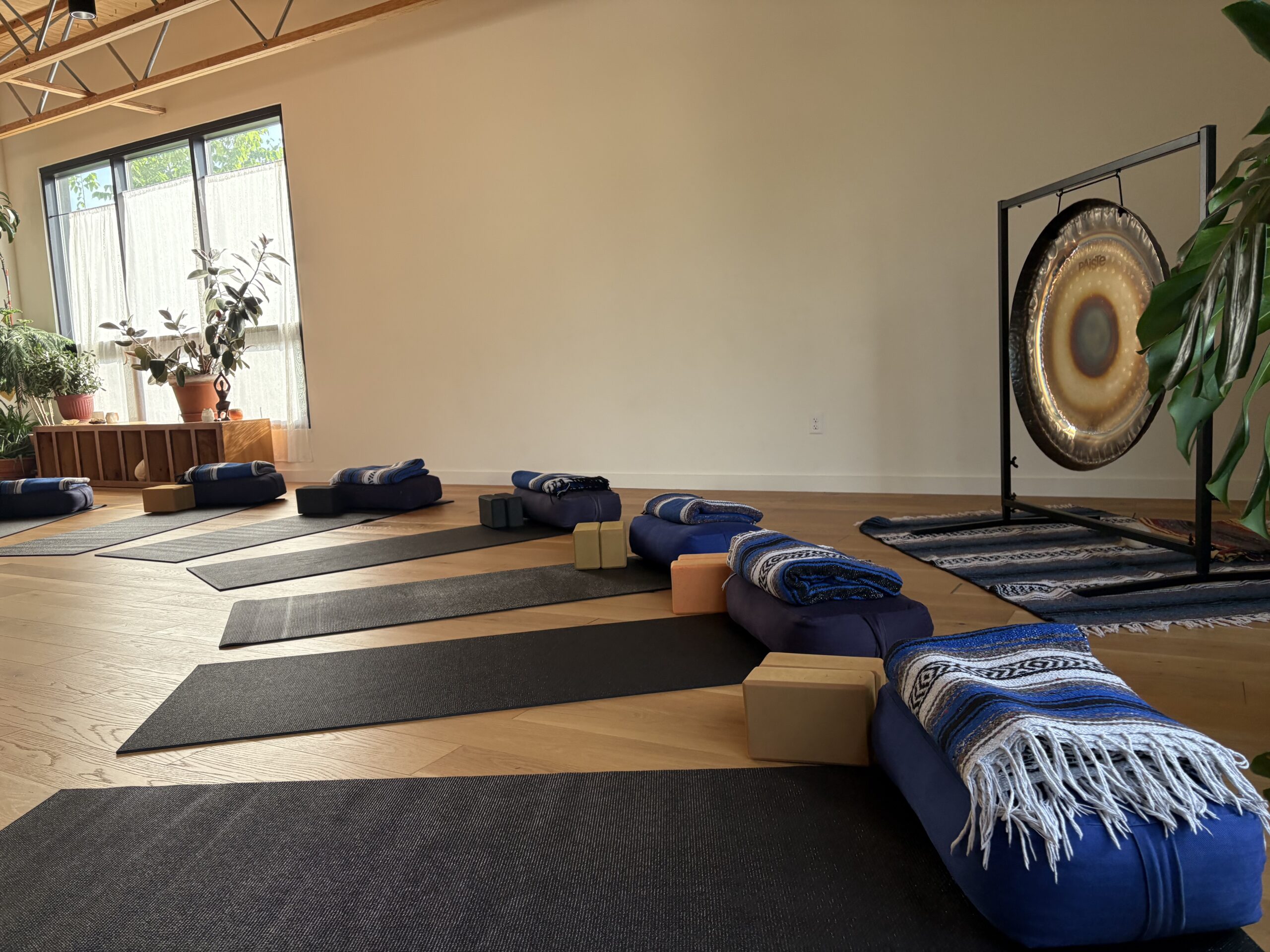 workshop at Yess Yoga in Minneapolis, MN